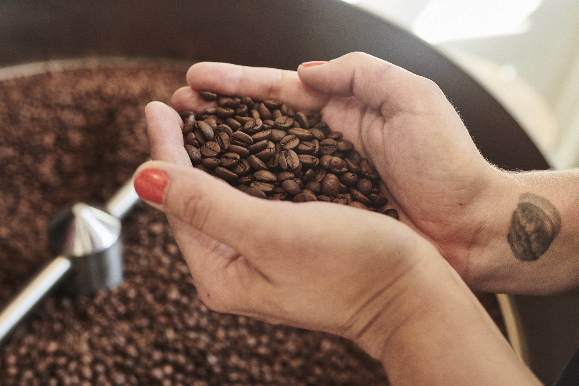 Notre mission : Démocratiser le café de spécialité et la micro-torréfaction - Dose Family