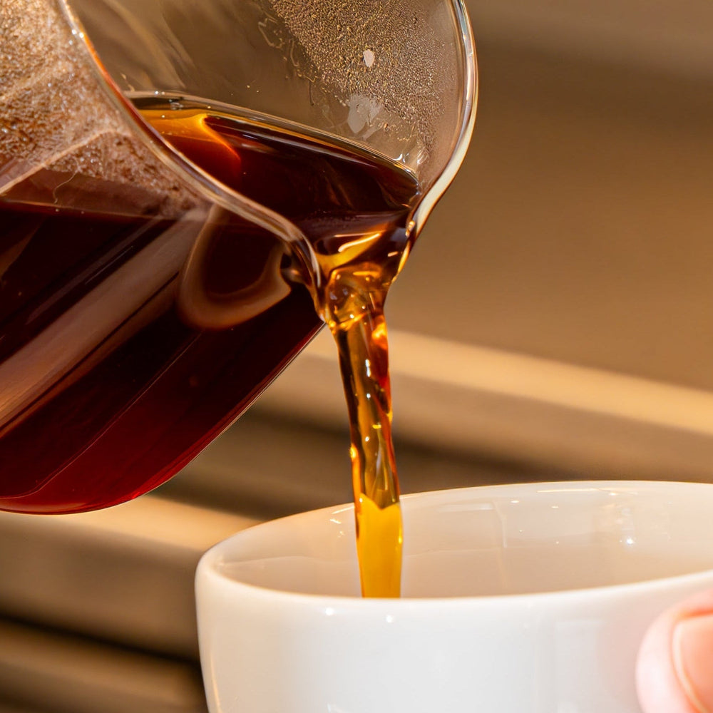 Cafés pour filtre - Dose Family