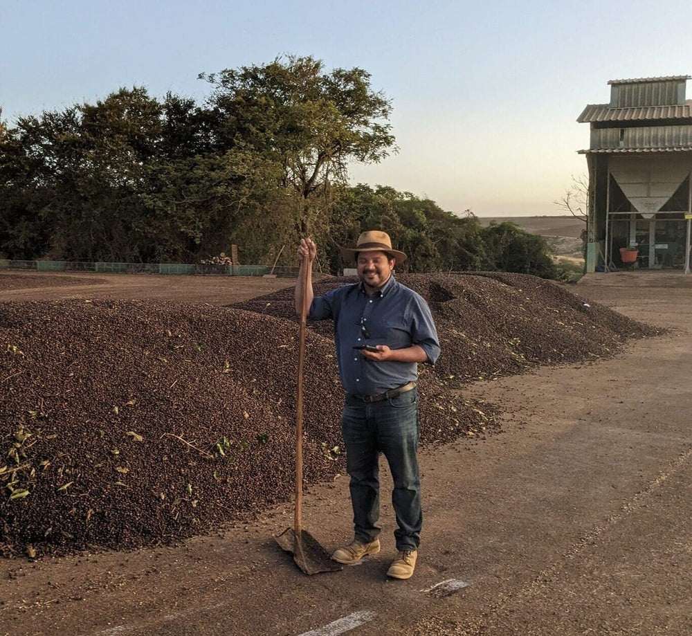 Café Gourmand - Dose Family