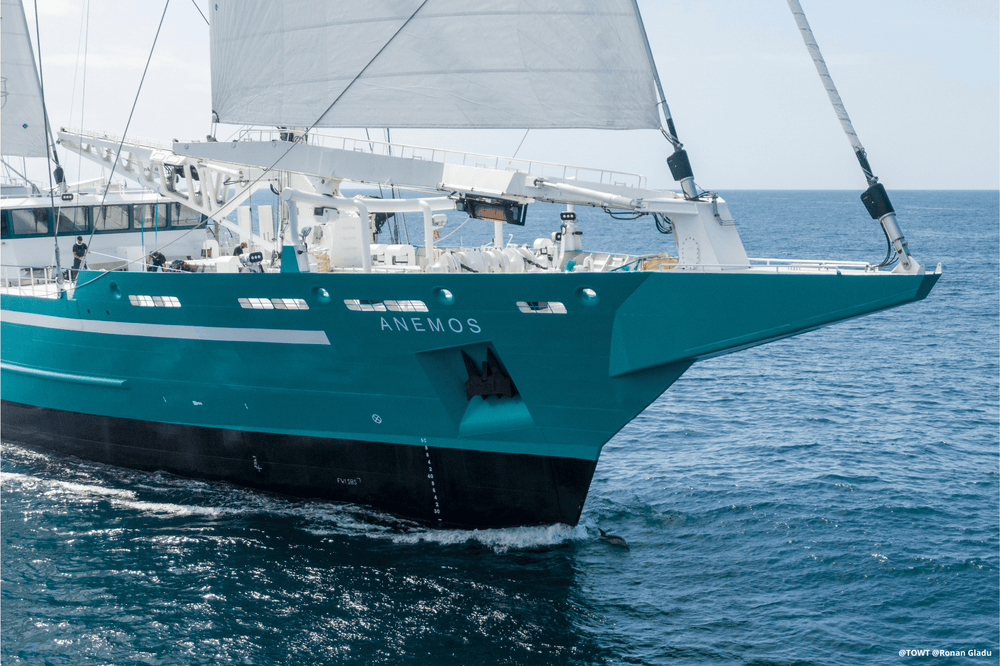 Café San Salvador - Dose Family