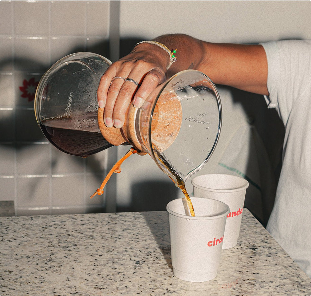Filtres 4 tasses Light Roast - Cafec (x100) - Dose Family